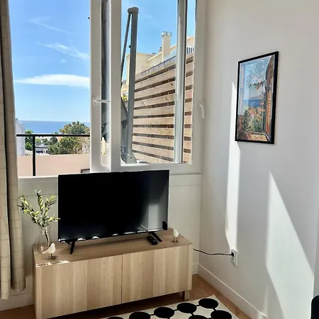 Appartement Theniceterrace Nice